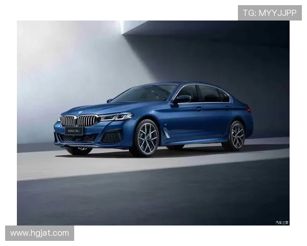 选择合适的MMA护具提升训练与比赛安全性推荐指南